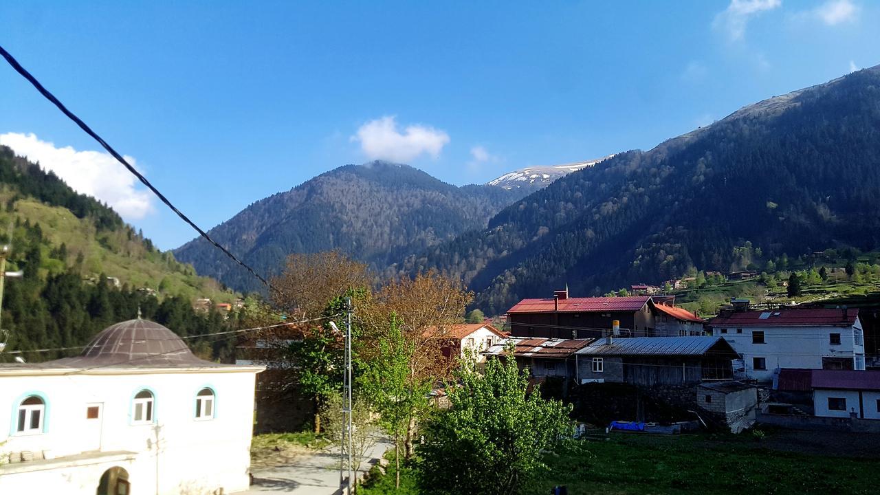 Talipoglu Apart Aparthotel Uzungöl Buitenkant foto