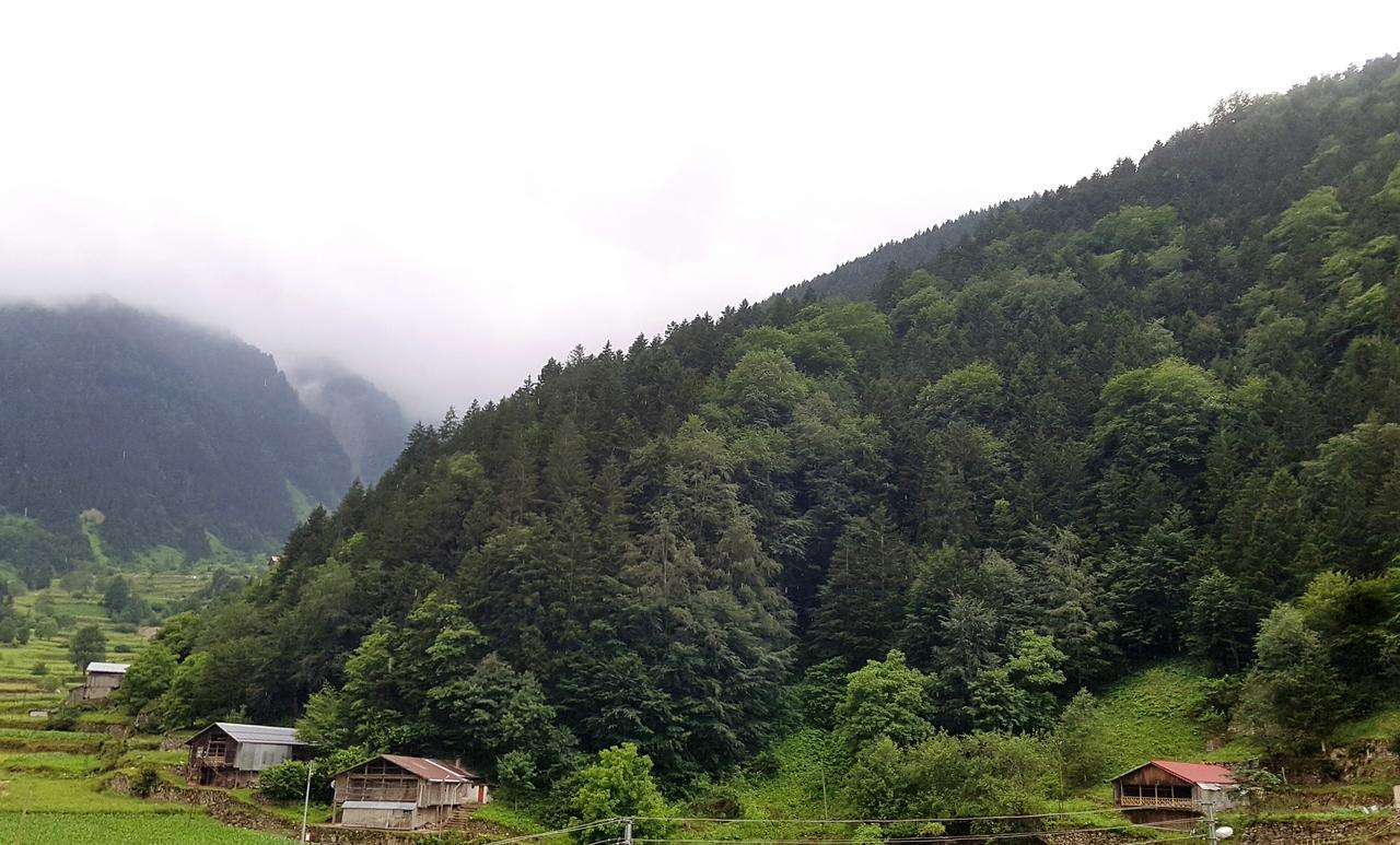 Talipoglu Apart Aparthotel Uzungöl Buitenkant foto