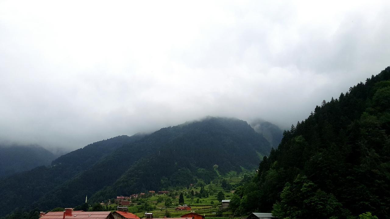 Talipoglu Apart Aparthotel Uzungöl Buitenkant foto